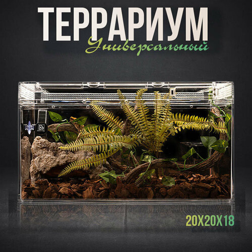 Террариум с крышкой для геккона эублефа20X20X18CM 2900₽