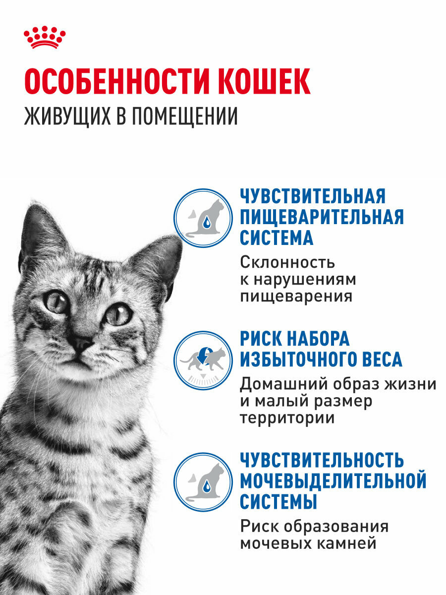 Корма Для Кошек Xiaomi Влажный корм для стерилизованных кошек Royal Canin Indoor Sterilised кусочки в соусе, 28 шт по 85 г