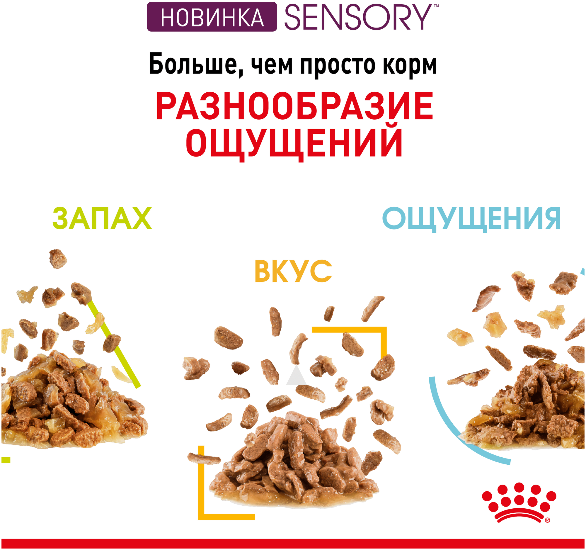 Royal Canin SENSORY Корм влажный для взрослых кошек, кусочки в соусе, 85 г - фото №6