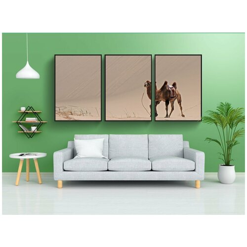 фото Набор модулных постеров для интерьера "монголия, пустыня, песок" 60x90 см. в тубусе, без рамки lotsprints