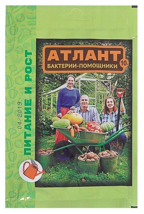 Средство для защиты растений Атлант, Бактерии-помощники, 10 г - фотография № 1