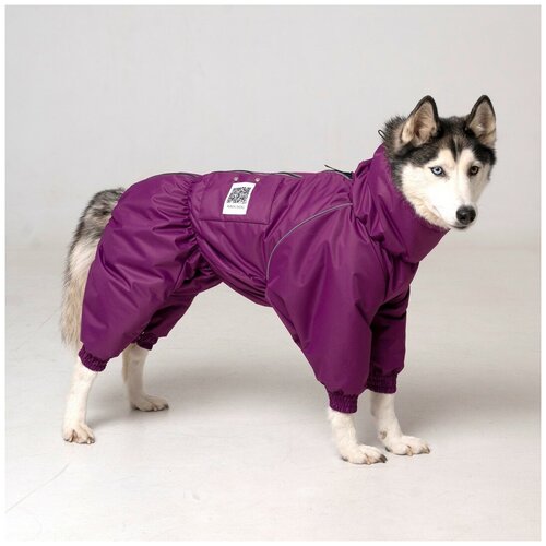 Комбинезон дождевик для собак средних и крупных пород STORM, 45ж (сука), фиолетовый, 2XL
