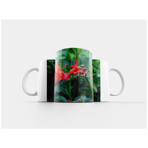 фото Кружка "лили, декоративные сад, апельсин" 320 мл lotsprints