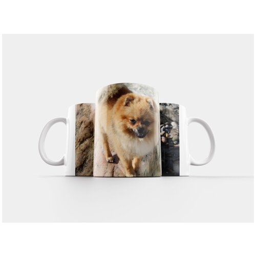фото Кружка "миниатюрный шпиц, собака, животные" 320 мл lotsprints