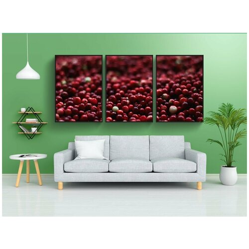 фото Набор модулных постеров для интерьера "ягоды, клюква, красный" 60x90 см. в тубусе, без рамки lotsprints