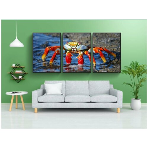фото Набор модулных постеров для интерьера "краб, амазонка, красочный" 60x90 см. в тубусе, без рамки lotsprints