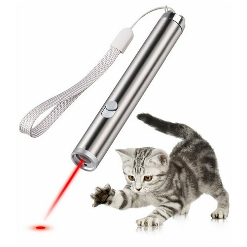 Лазерная указка 3в1 USB для игры с кошками