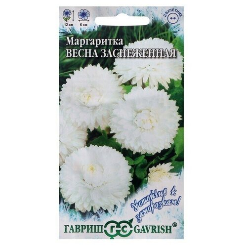 Семена цветов Маргаритка Гавриш Весна заснеженная, однолетник, 0,05 г 6 упаковок