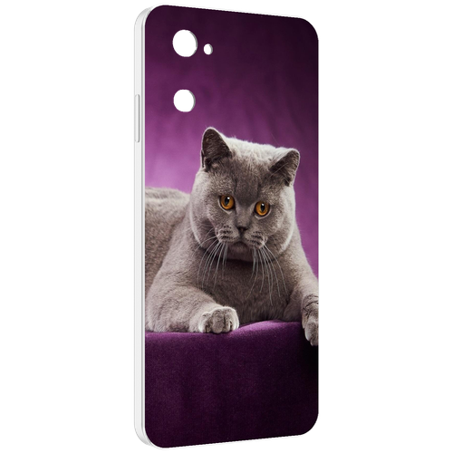 Чехол MyPads кошка британская короткая для UleFone Note 12 / Note 12P задняя-панель-накладка-бампер