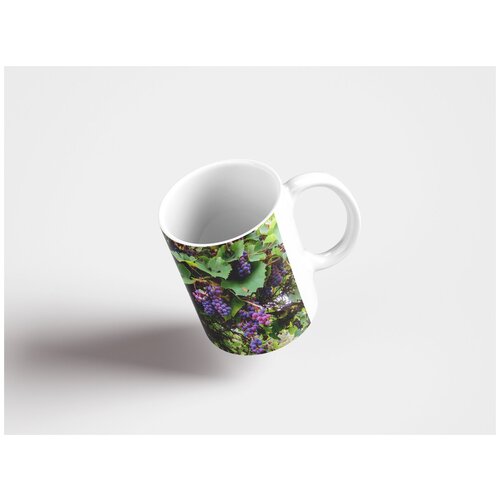 фото Кружка "падение, виноград, лоза 320 мл. белая lotsprints