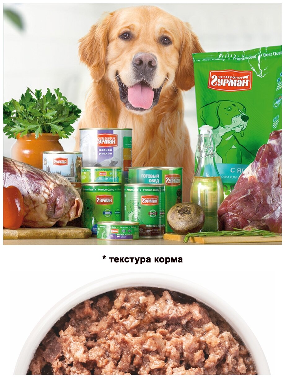Четвероногий Гурман Консервы для собак Мясное ассорти с индейкой, 100 г - фото №10