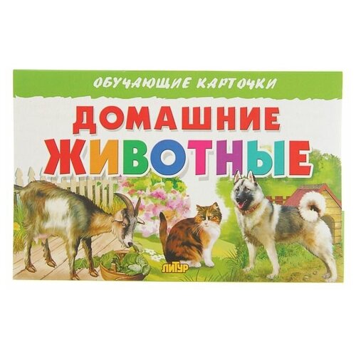 Обучающие карточки «Домашние животные»