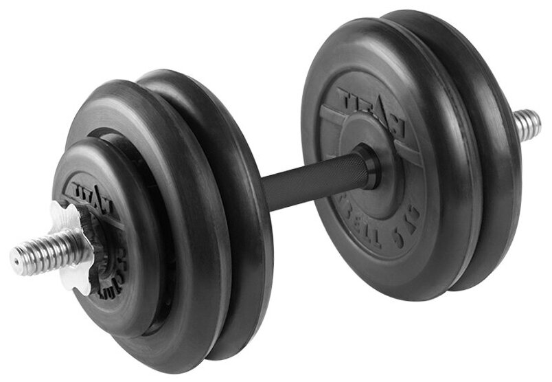 Гантель разборная 25 кг TITAN Barbell - d31, Комплектация №1 с обрезиненной ручкой