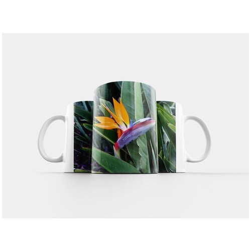 фото Кружка "хвостатые, попугай цветок, растение попугай" 320 мл lotsprints