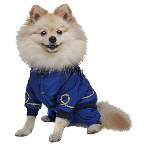 Одежда DogVille комплект 31221д полукомбинезон и курткана кнопкахдемисезон