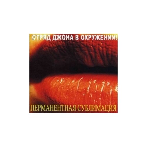 Компакт-Диски, Авторское издание, отряд джона В окружении! - Перманентная Сублимация (CD-R)