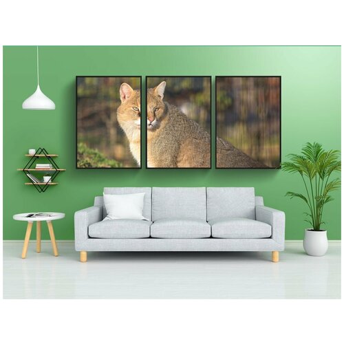 фото Набор модулных постеров для интерьера "болотный кот, кошка, животные" 60x90 см. в тубусе, без рамки lotsprints