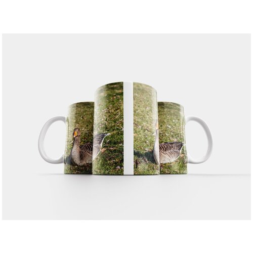 фото Кружка "гусь, птица, природа" 320 мл lotsprints