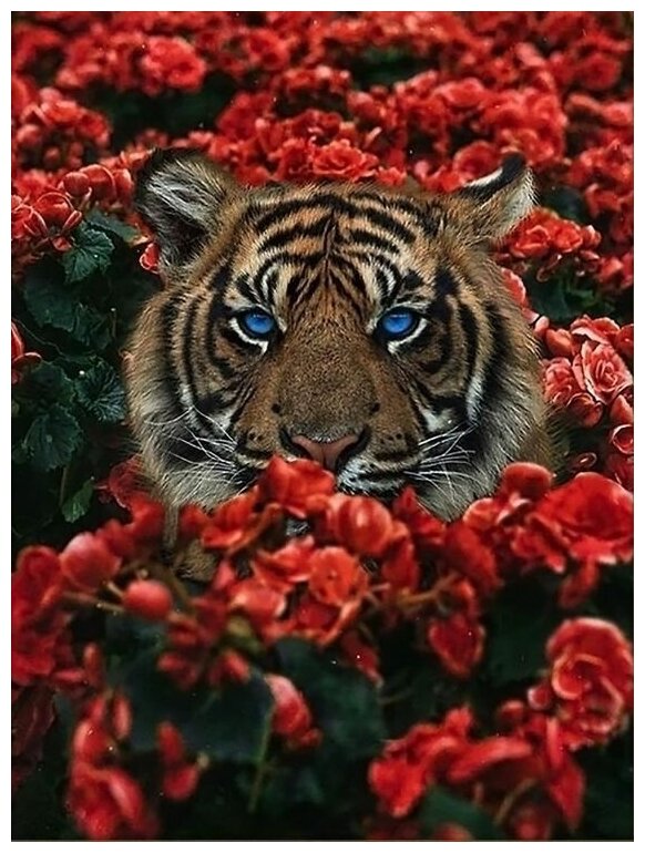 Алмазная мозаика "Тигр в цветах" 30x40 см Алмазная Живопись