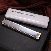 Музыкальная гармоника Swan с 28 отверстиями