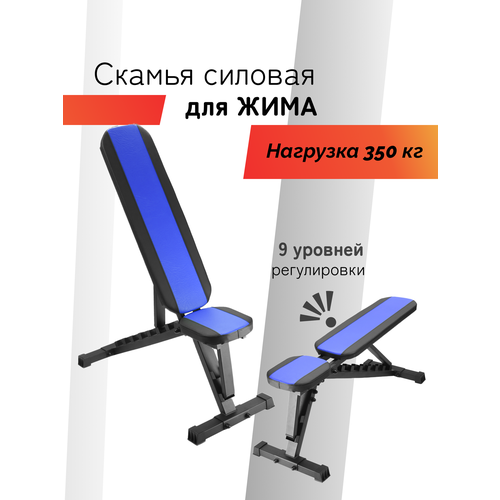 Скамья для жима SportLim A1 Профи Черно-синяя