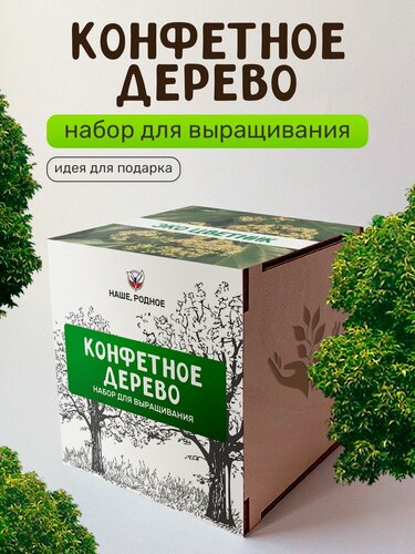Изображение товара Набор для выращивания растений Сад на окне "Конфетное дерево", в деревянном горшочке