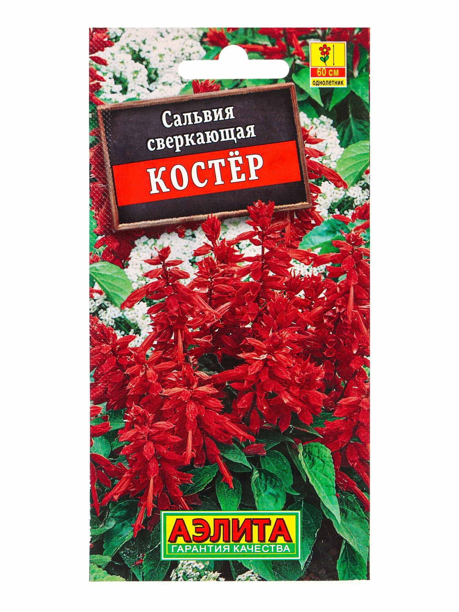 Семена цветов Сальвия "Костер", 0.1 г, "аэлита", цветение период: август, 2 шт.