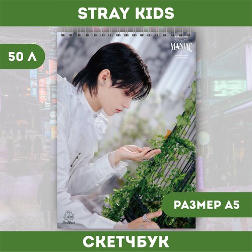 Скетчбук Stray Kids Ли Феликс