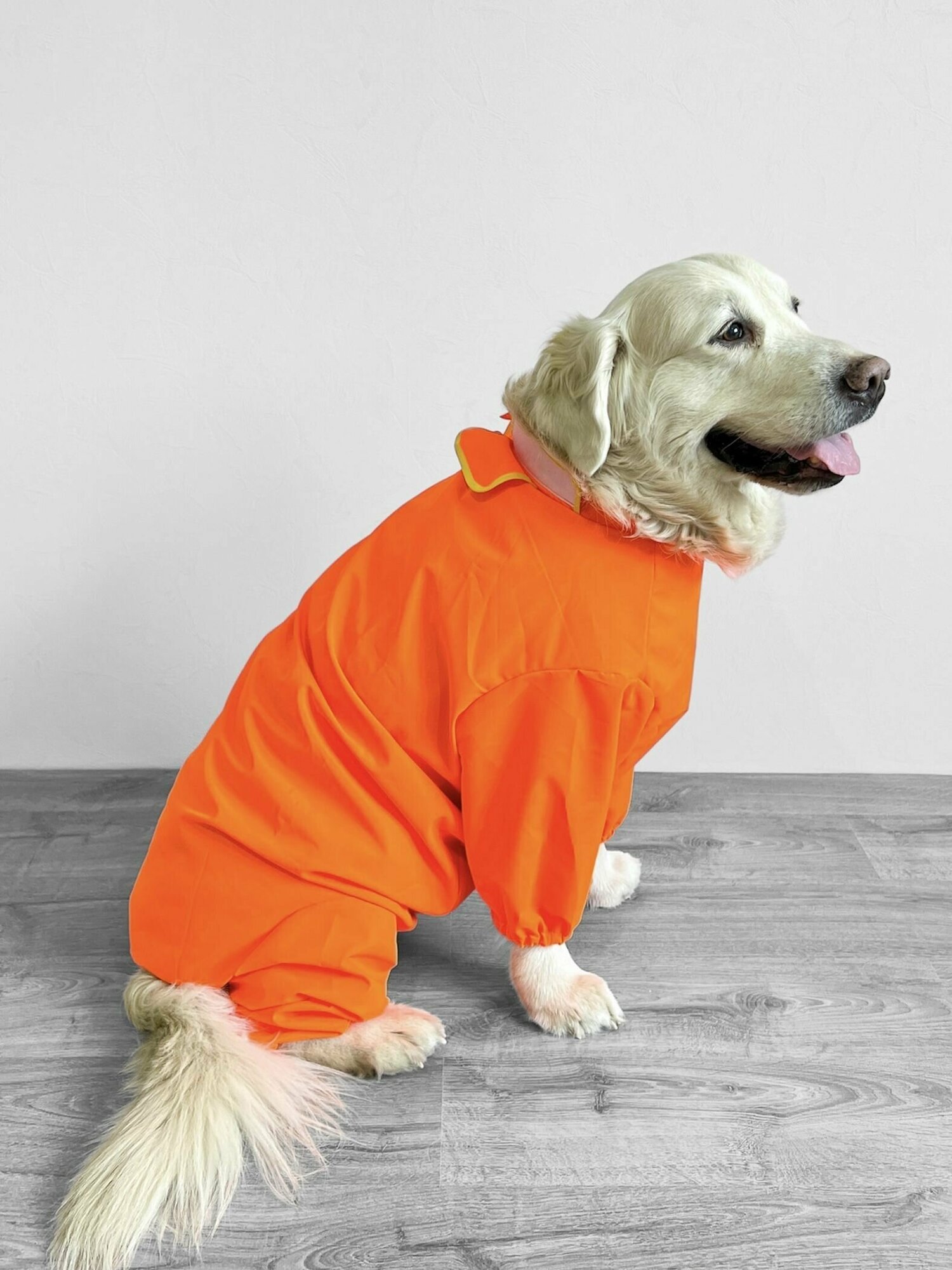 Дождевик для собак средних и крупных пород / Оранжевый / Размер 2XL - фотография № 6
