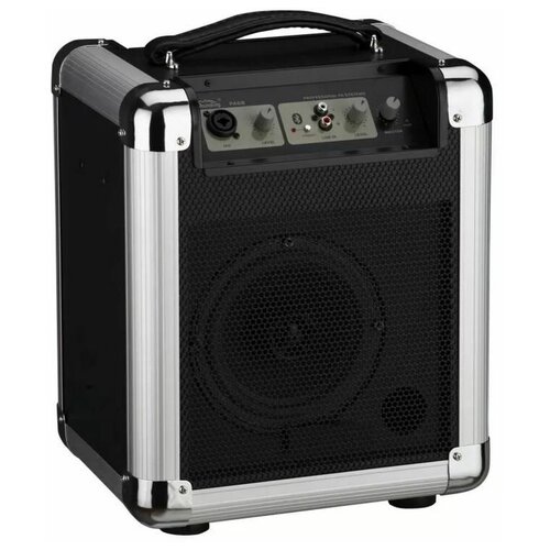 Soundking PA6B Портативная акустическая система 2314000₽