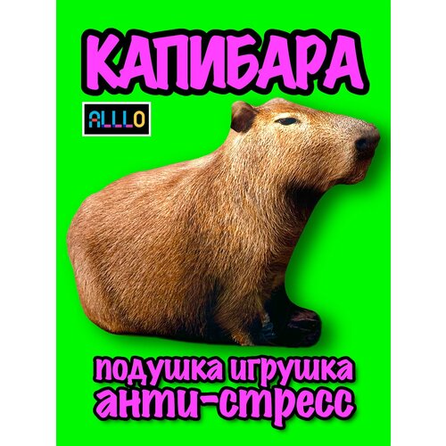 Капибара игрушка мягкая антистресс подушка Capybara