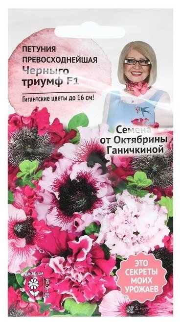 Петуния Октябрина Ганичкина - фото №2