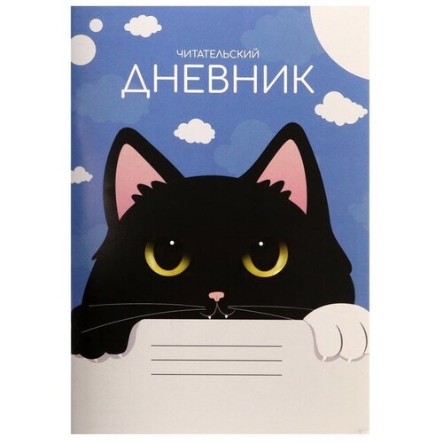 Читательский дневник 48 листов Чёрный кот, обложка мелованный картон читательский дневник 16 листов книги обложка мелованный картон