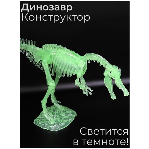 Скелет Динозавра Спинозавр, конструктор, светится в темноте, игрушка для мальчиков