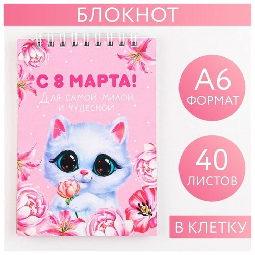 Блокнот Котик на гребне, А6, 40 листов в клетку, мягкая обложка, плотность бумаги 65 р блокнот 8 марта на гребне а6 40 листов в клетку мягкая обложка плотность бумаги 65 р