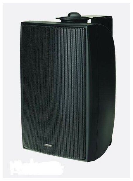 Tannoy DVS 4t Black всепогодная акустическая система