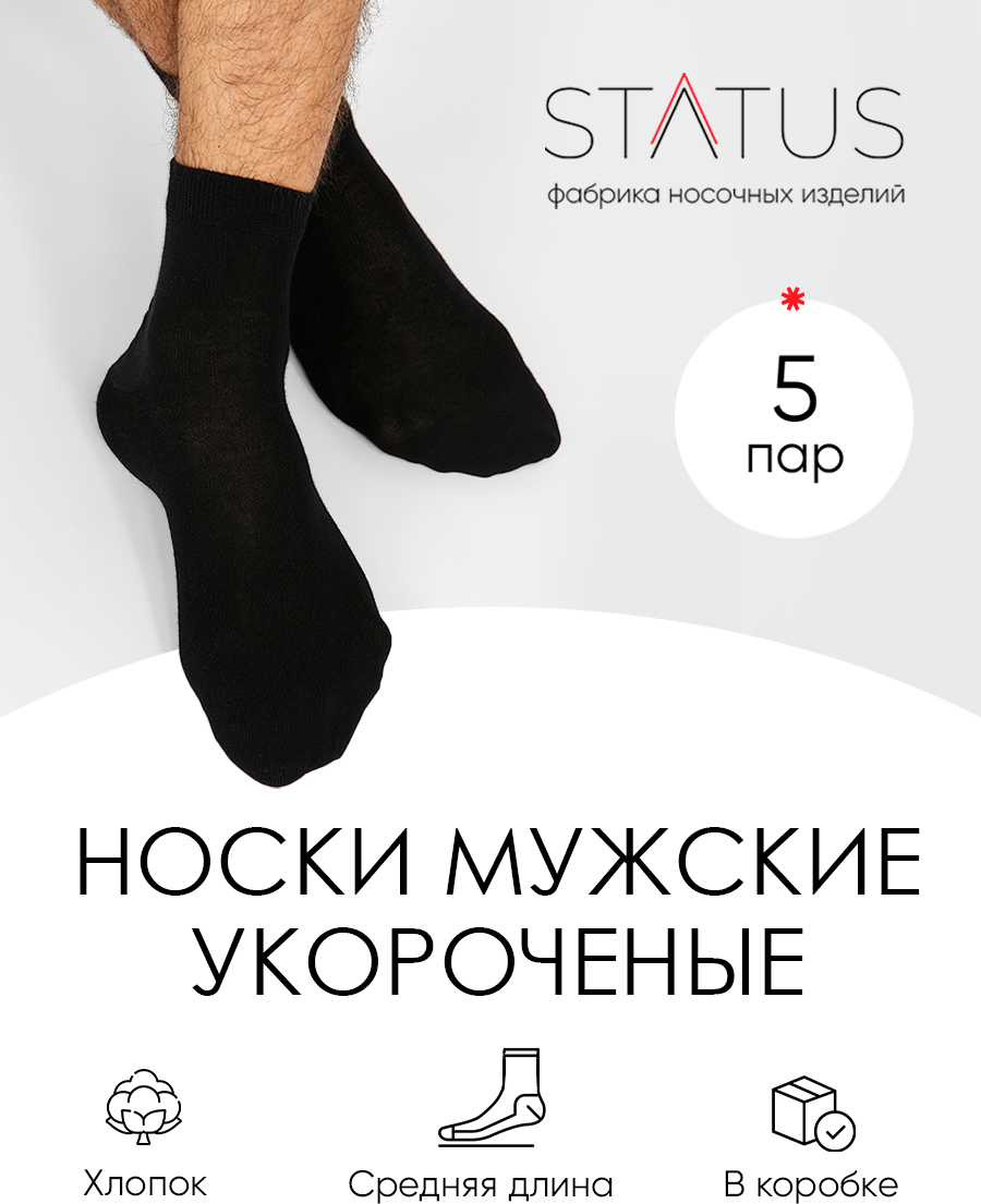 Носки STATUS  комплект  5 пар  размер 31  черный  