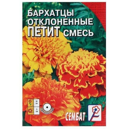 семена бархатцы отклоненные малышок смесь 0 5г Семена цветов Бархатцы отклоненные Петит, смесь, 0,2 г 10 упаковок