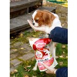 Корм для собак сухой Japan Premium Pet BEAUTY PRO с морским коллагеном для восстановления работы желудочно-кишечного тракта (ЖКТ), 400 гр - изображение
