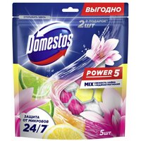 Подвеска для унитаза Domestos, Power 5, Свежесть лайма и Ледяная магнолия, 5*55 г