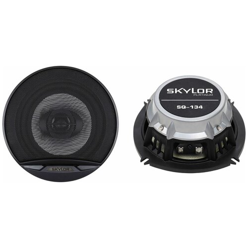 Skylor SQ-134 272000₽