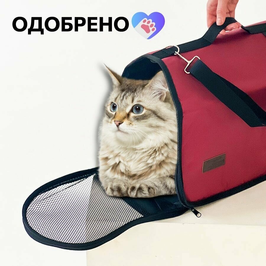Сумка переноска для кошек и собак мелких пород, сумка для животных, для самолета авиаперевозок - фотография № 4