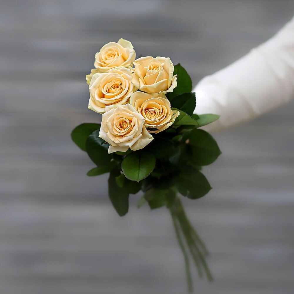 Букет живых цветов из 5 кремовых роз (Россия) с лентой 60 см