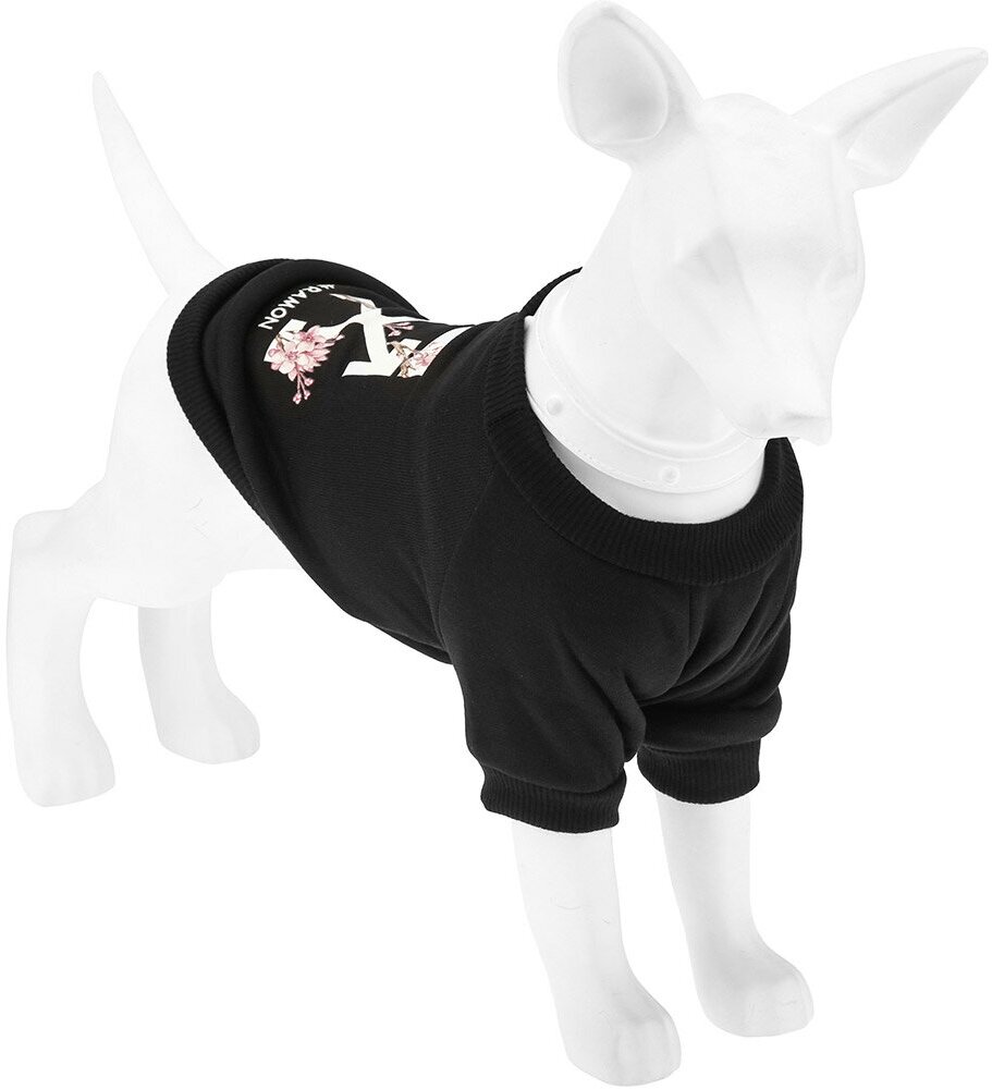 "Пэт тойс (Pet toys)" Одежда для собаки "Толстовка" "#Ramon" с принтом, р-р M, длина спинки 26см/обхват груди 36см/обхват шеи 24см, цвет-черный, полиэстер/флис (Китай) - фотография № 9