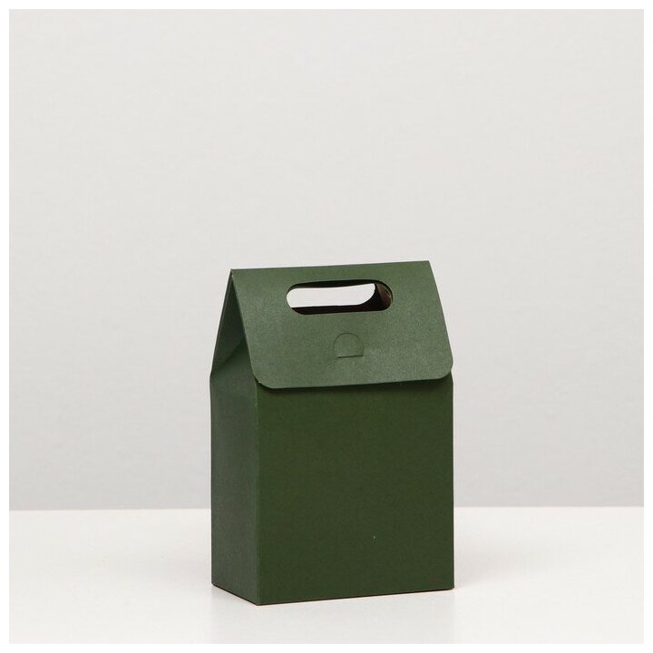 Коробка-пакет с ручкой, зеленая, 15 х 10 х 6 см 5 шт