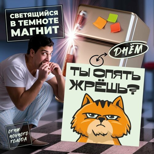 Магнит светящийся в темноте на холодильник Ты опять жрешь 10х10 см Печатник 543₽