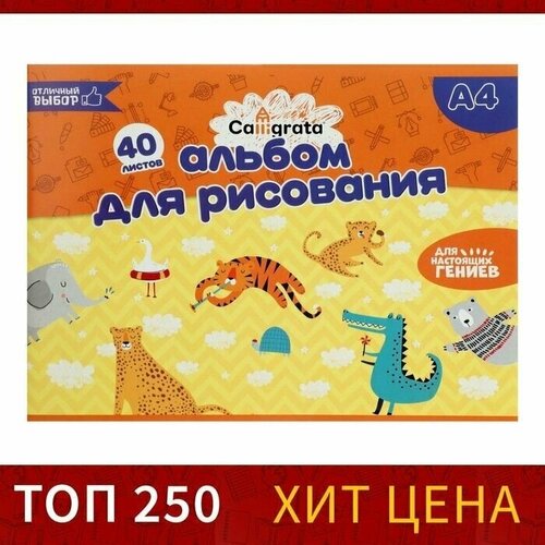 Альбом для рисования А4, 40 листов на скрепке , обложка мелованный картон, блок 100 г/м2, 2 шт.