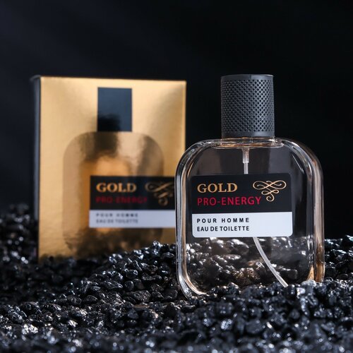 Туалетная вода мужская Pro-Energy Gold, 100 мл туалетная вода мужская pro energy gold 100 мл delta parfum 7011737