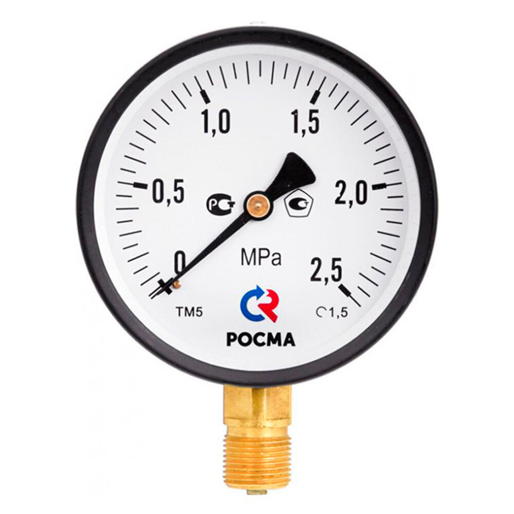 Манометр Росма ТМ-310Р.00 G1/4.25 (6771) радиальный 1/4 НР(ш) 6 бар d63 мм