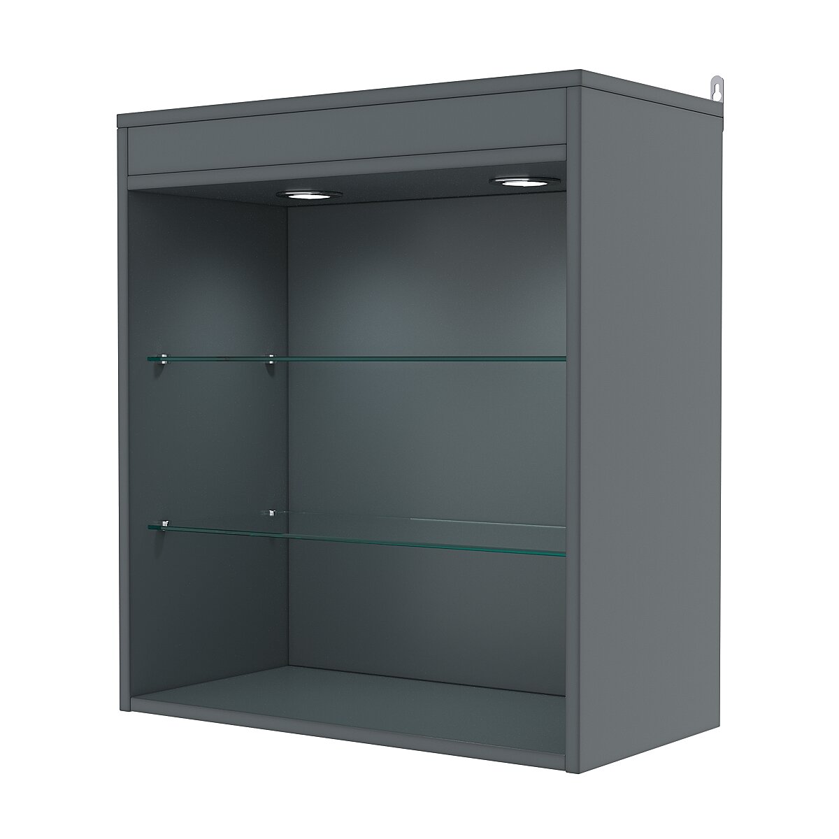 Витрина настенная №1-3ГГ с подсветкой, Темно-Серый. Производитель товара - компания Westcom.